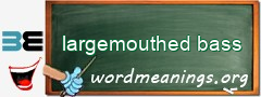WordMeaning blackboard for largemouthed bass